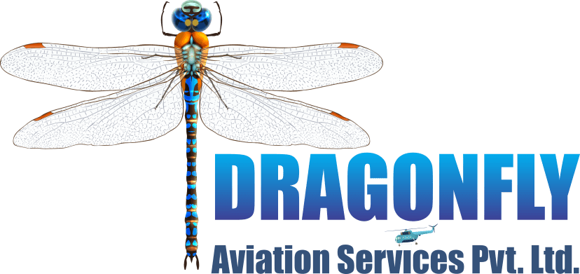 dragonfly aviation logo